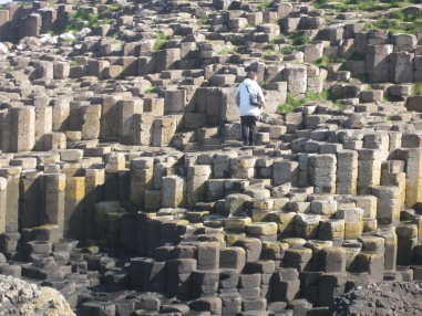 Figura 7: Columnas poligonales de los Basaltos Intermedios de Giant’s Causeway. Fuente propia.